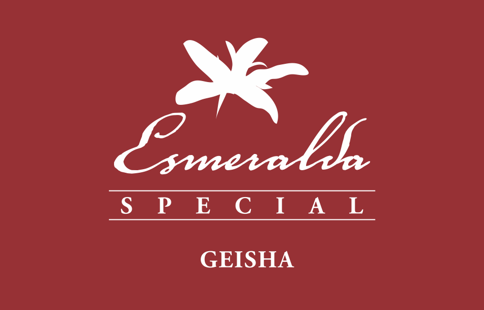  2019 Hacienda La Esmeralda Auction result (2019 에스메랄다 게이샤 옥션 결과)