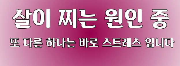  살이 찌는 원인 중 또 다른 하나는 바로 스트레스 입니다
