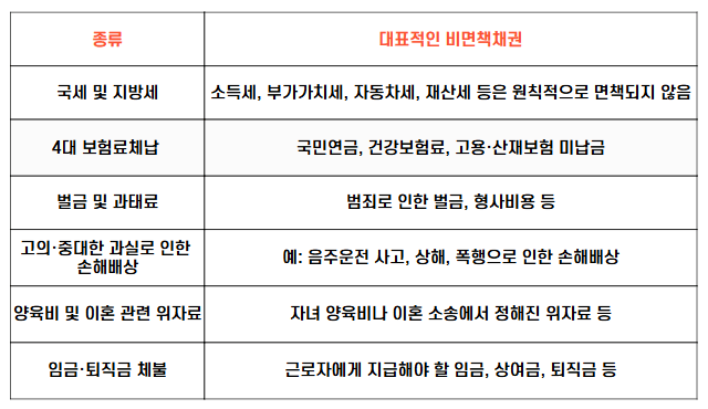 대표적인 비면책채권표