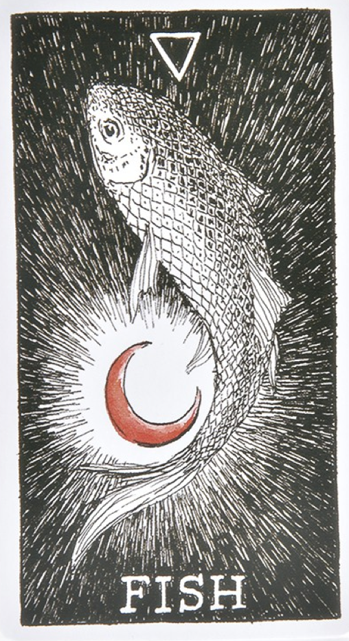  [오라클카드배우기/와일드언노운애니멀스피릿]The wild unknown animal spirit Fish 물고기 해석 및 의미