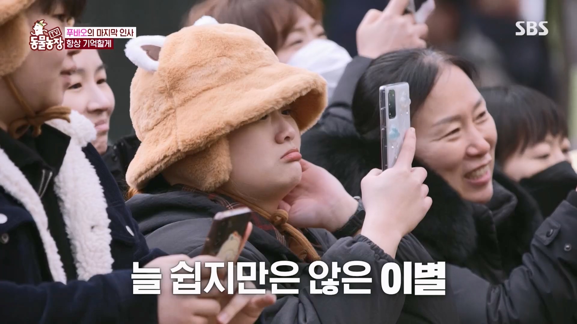 TV 동물농장.E1165.240331p.H264-F1RST.mp4_20240331_144351.647.jpg