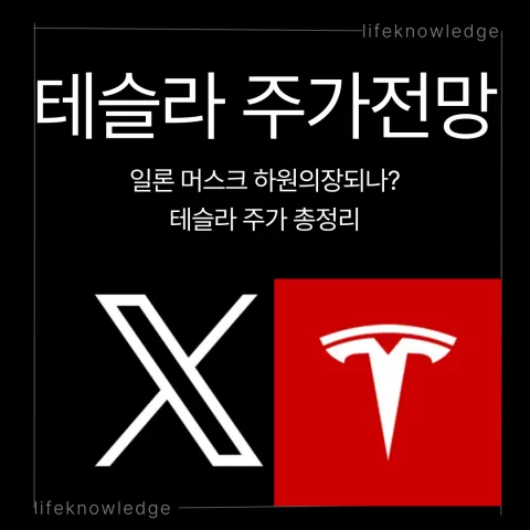 테슬라 테슬라주가전망 테슬라주가 X 일론머스크 머스크 트럼프