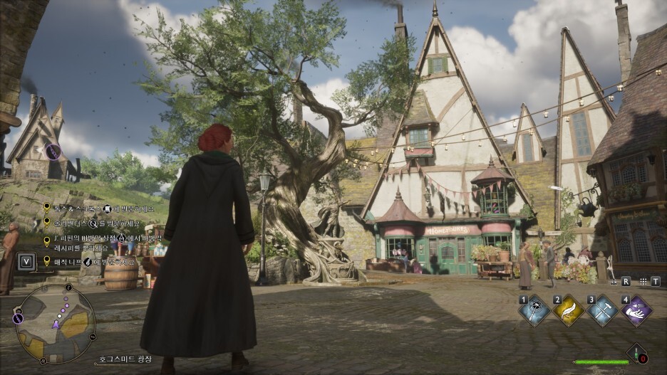 (Hogwarts Legacy) 사소한 게임 스크린샷 모음 45