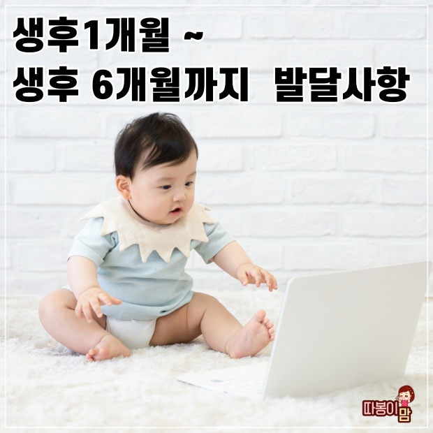  생후 1개월 부터 6개월 까지 발달사항