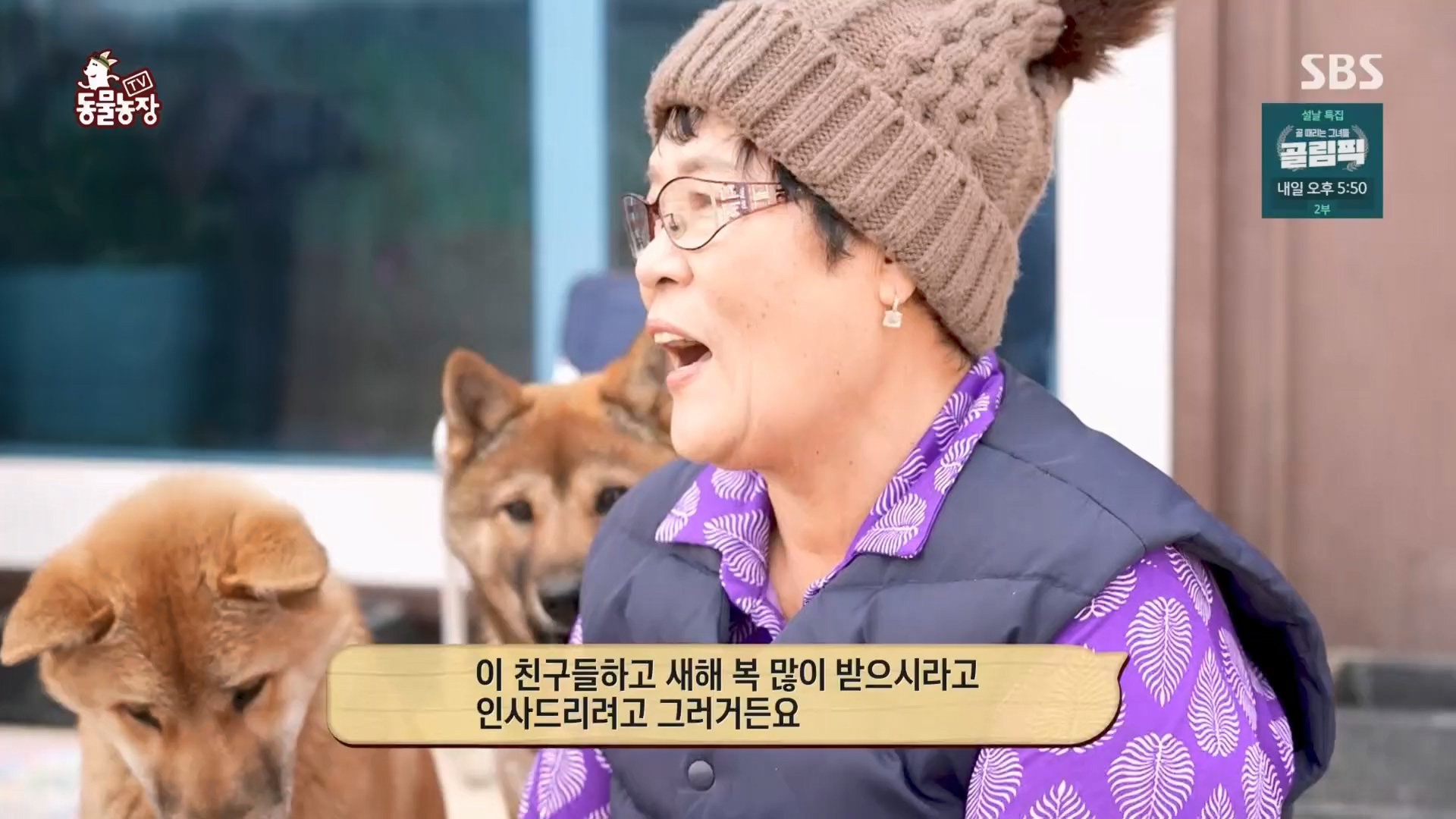 TV 동물농장.E1158.240211p.H264-F1RST.mp4_20240211_194102.511.jpg