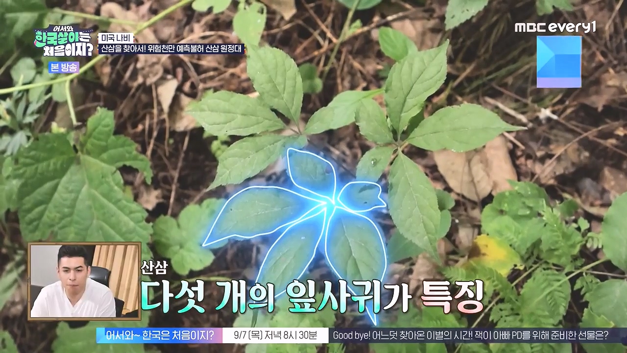 어서와 한국살이는 처음이지.E16.230905p-NEXT.mp4_20230906_203244.301.jpg