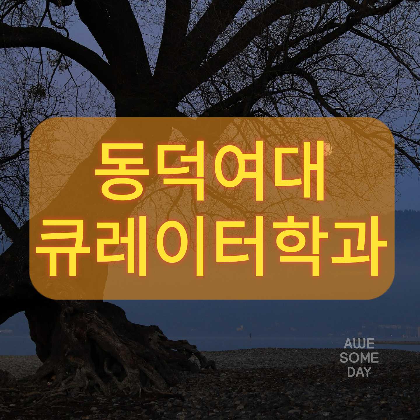  동덕여대 큐레이터학과