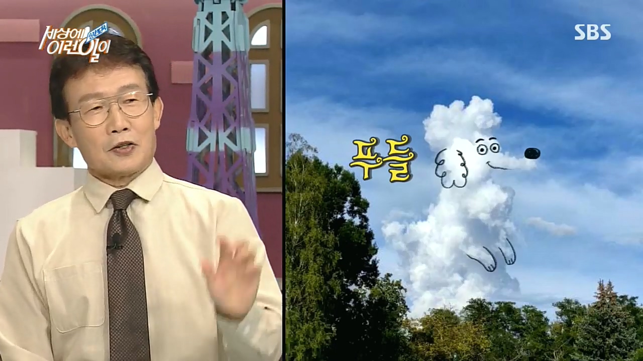 순간포착 세상에 이런일이.E1203.221026p.H264-F1RST.mp4_20221026_185313.034.jpg