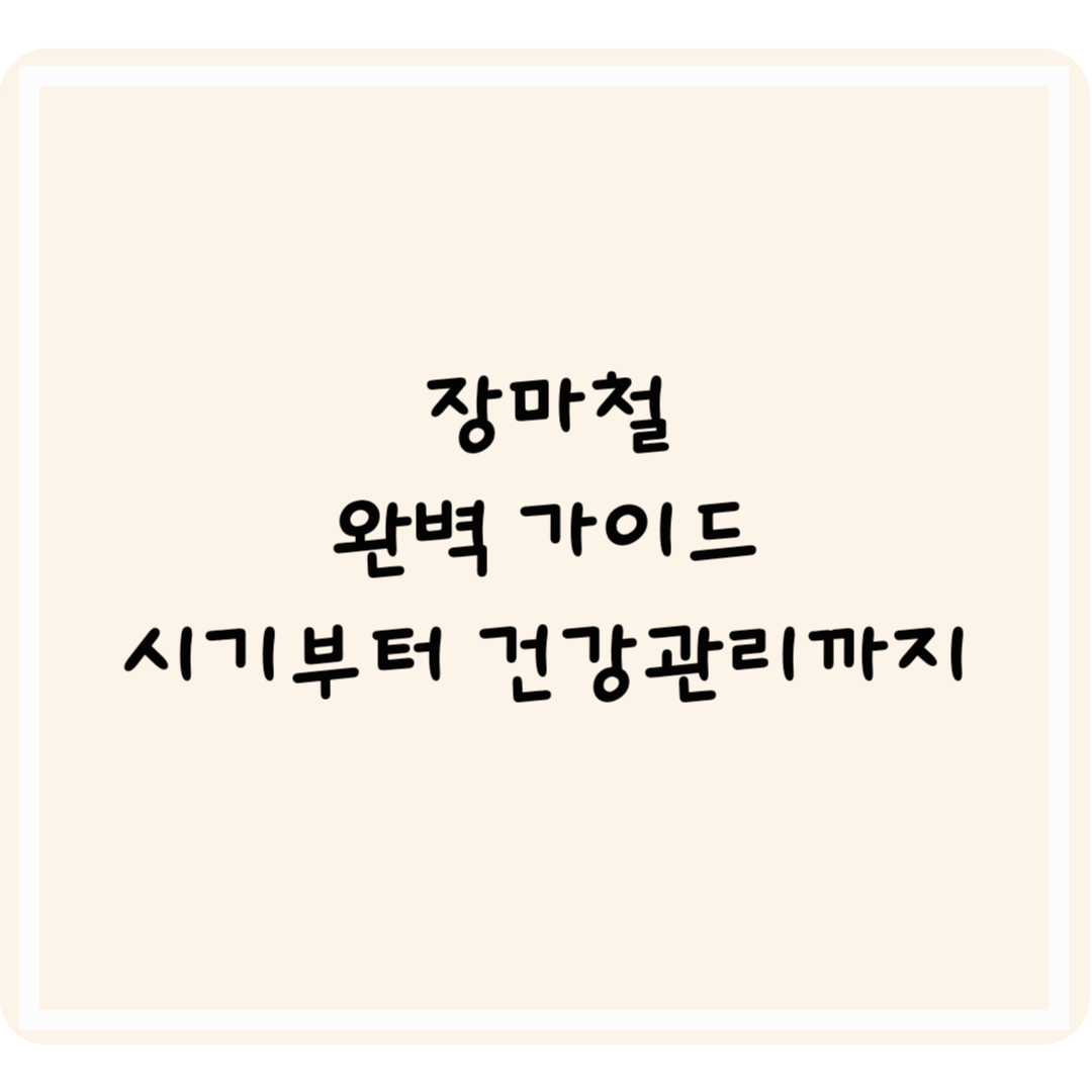 2025년 장마철 완벽 가이드: 장마 시작 시기부터 건강 관리까지