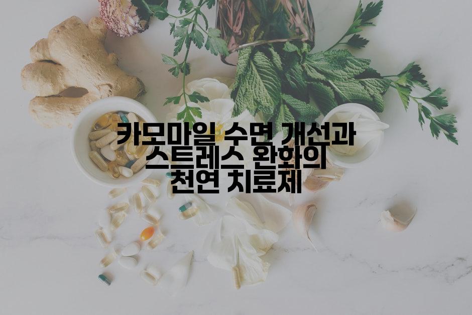 카모마일 수면 개선과 스트레스 완화의 천연 치료제