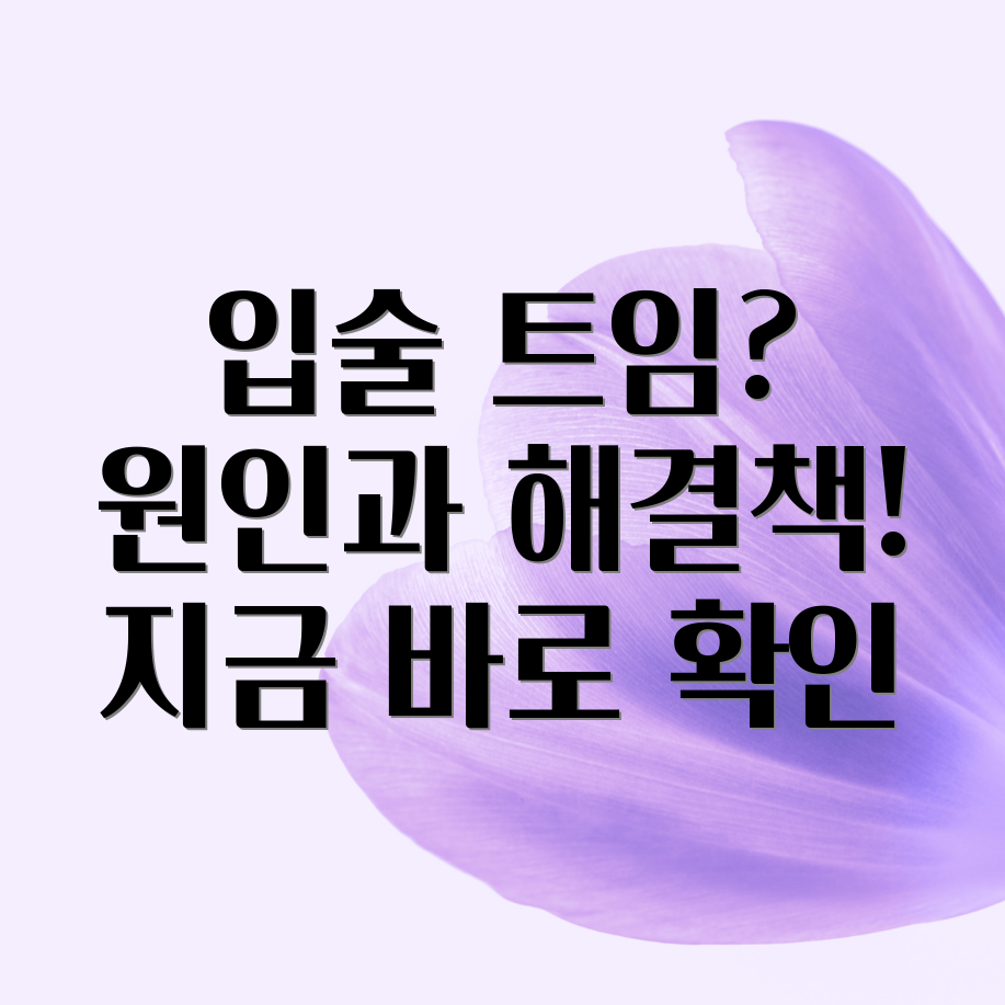 입술 트임