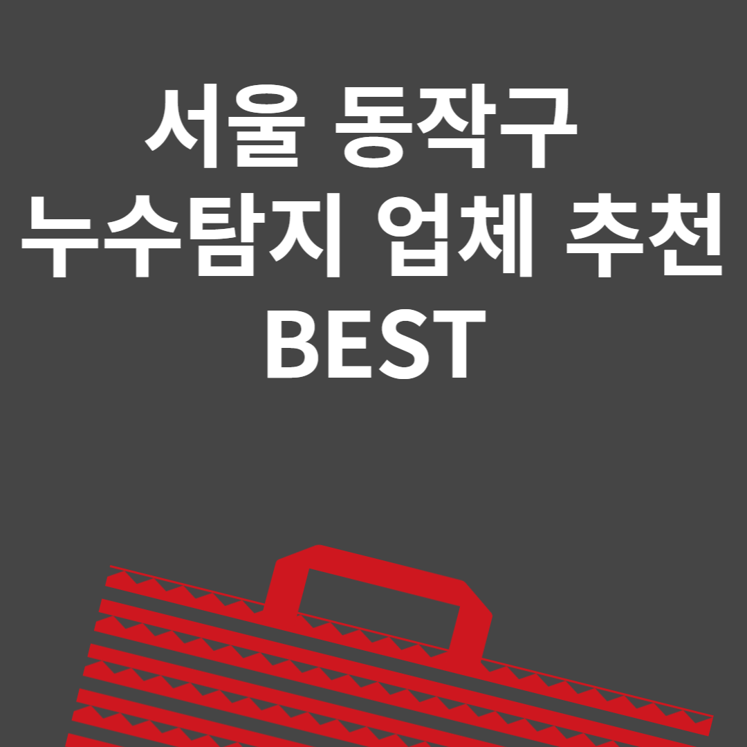 서울 동작구 누수탐지 업체 추천 Best6ㅣ비용ㅣ누수 보험 블로그 썸내일 사진