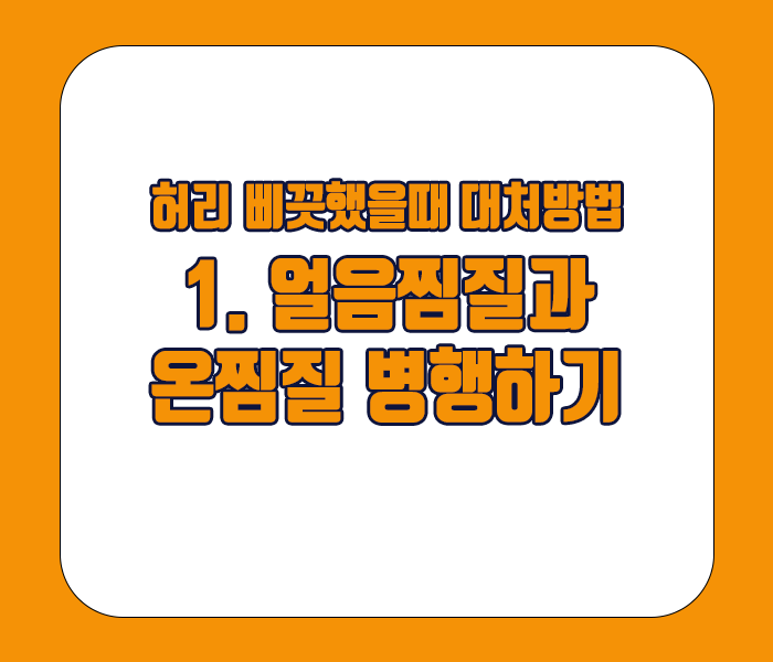 허리 삐끗했을때 대처방법 - 얼음찜질과 온찜질 병행하기