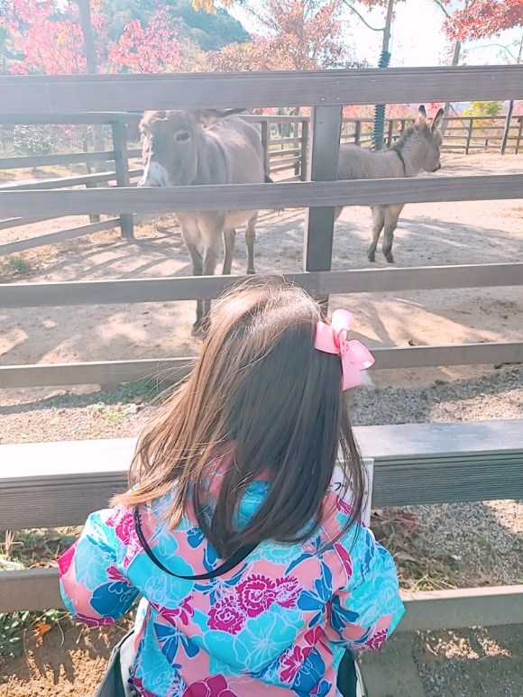 #부산 아이와가 볼만한 바다 운대수목원
