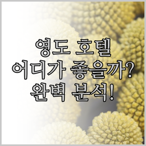 부산 영도 호텔 완벽 분석! 시타딘커