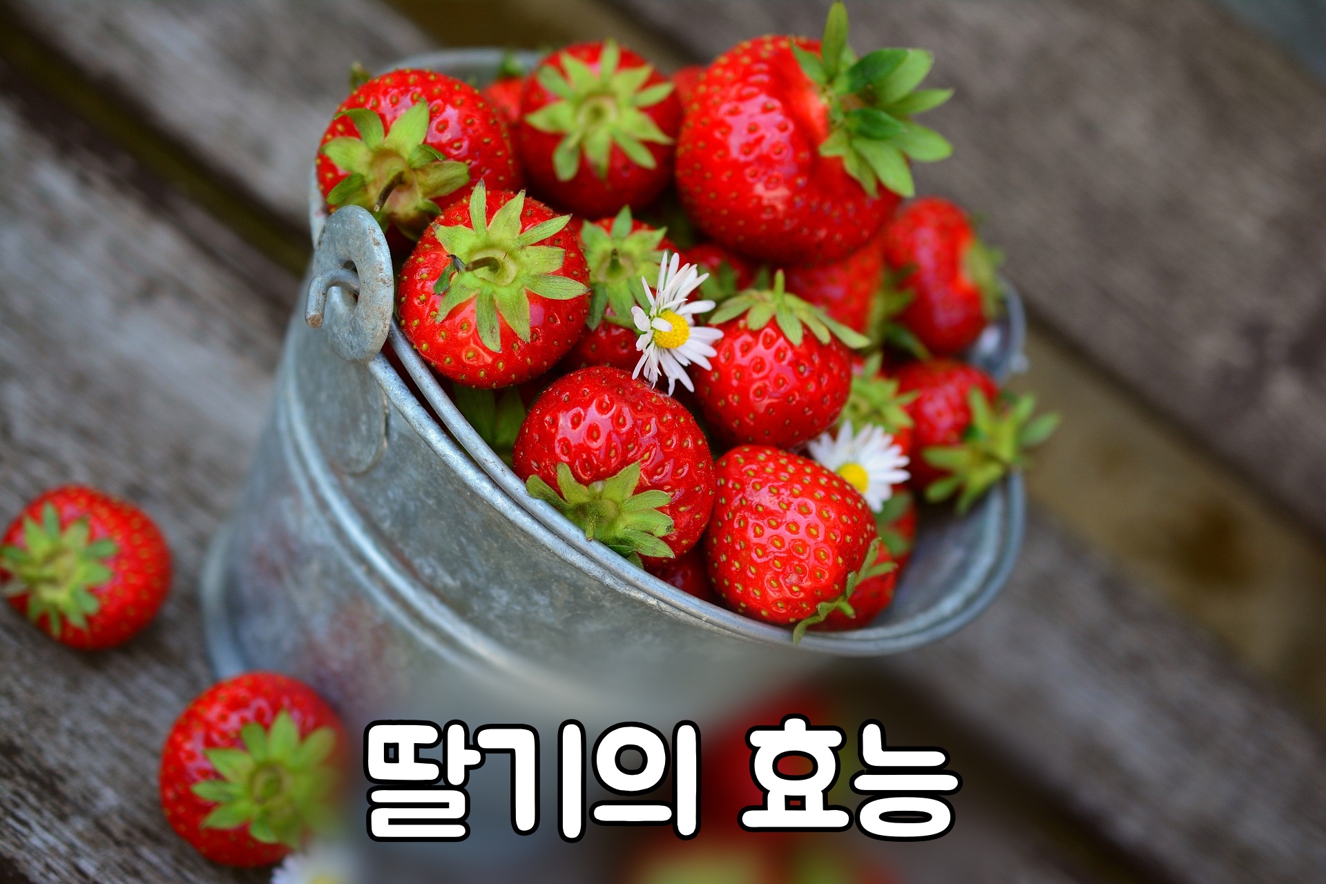 새콤달콤 맛있는 딸기의 효능 1