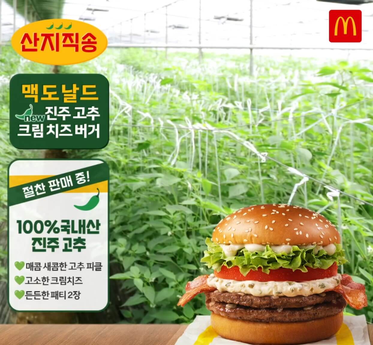 2025 맥도날드 메뉴 가격(최신)