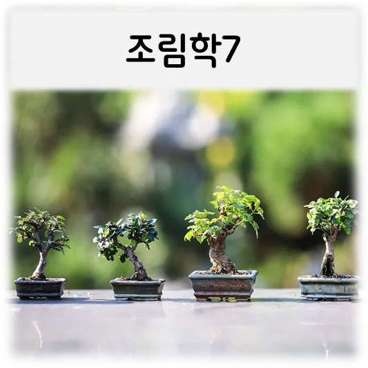 조림학7-분재4개