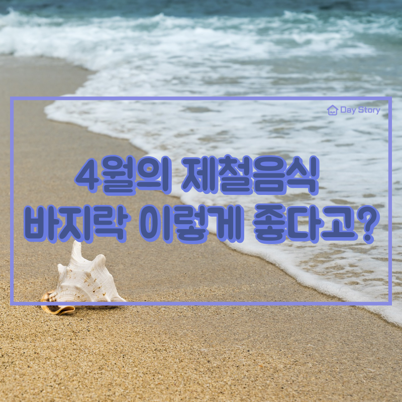  4월의 제철음식 바지락 - 바지락의 보관, 해감, 섭취 방법 등