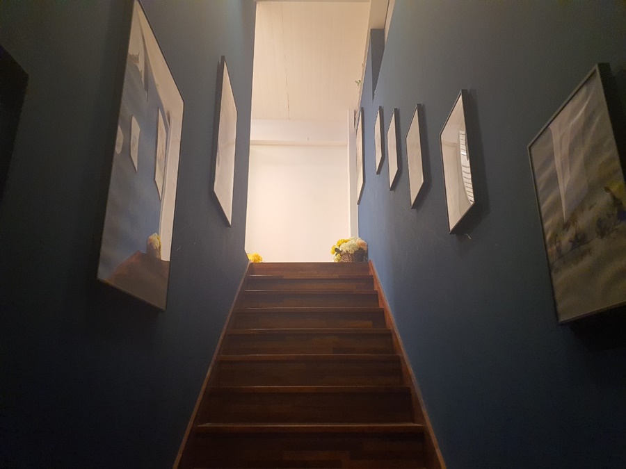 강아지 안락사 방법 강아지안락사 펫마루 4