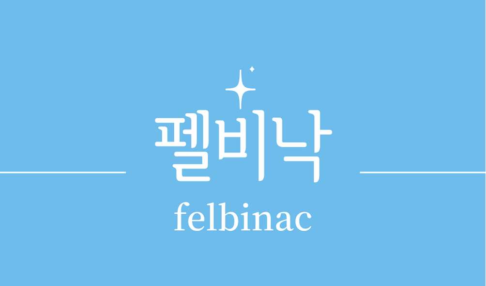 &#39;펠비낙(felbinac)&#39;