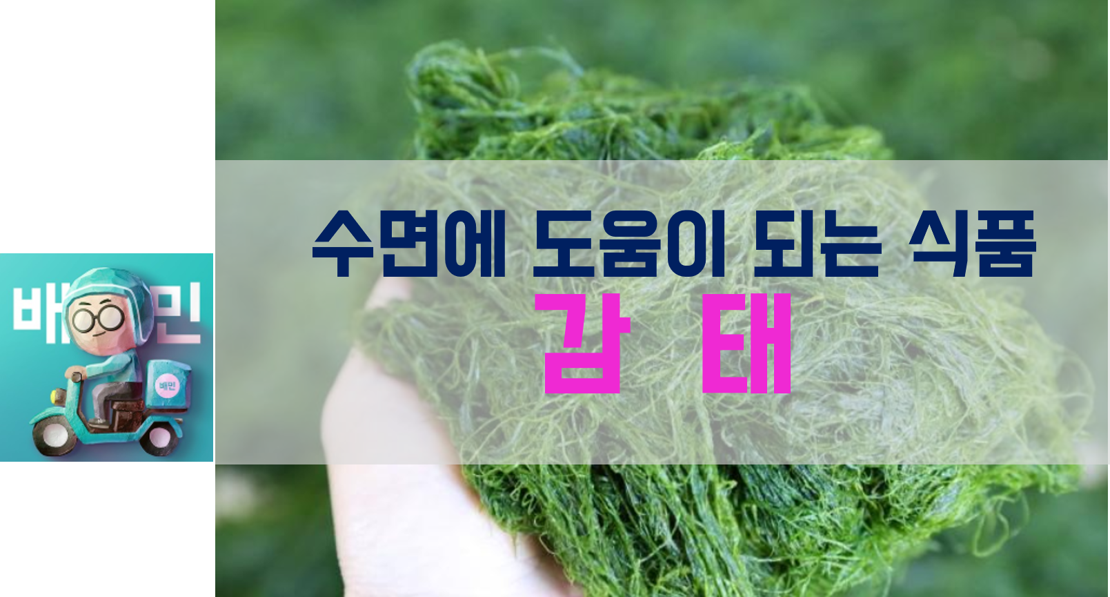  수면에 도움이 되는 음식 - 감태