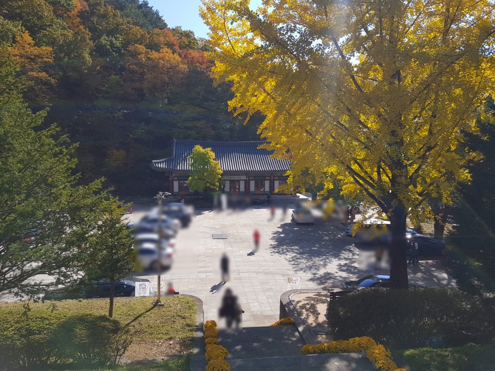 장소! 칠불사의 가을 풍경을 감상하세요:) 하동칠불사의 가을 멋진 자태를 품은