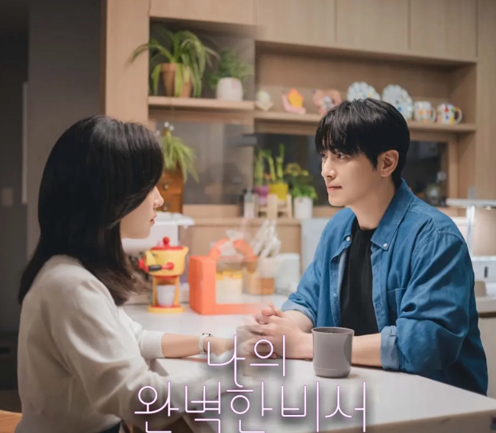나의 완벽한 비서 드라마 사진