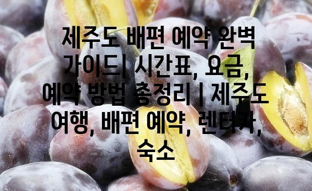 랜덤187