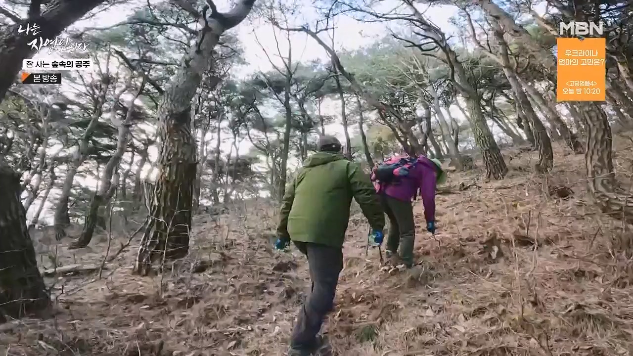 나는 자연인이다.E582.231130p-NEXT.mp4_20231130_200819.232.jpg