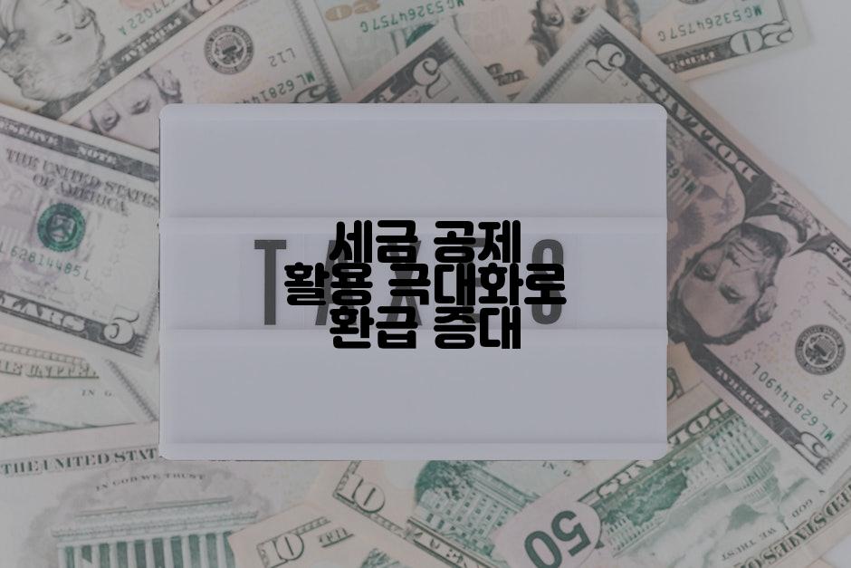 세금 공제 활용 극대화로 환급 증대