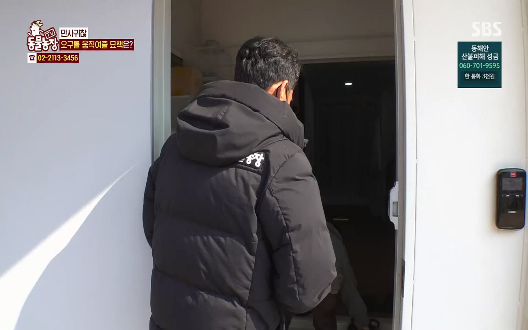 TV 동물농장.E1062.220327p.H264-F1RST.mp4_20220327_174419.871.jpg