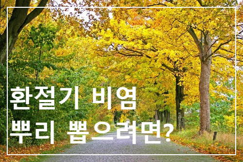 환절기 비염