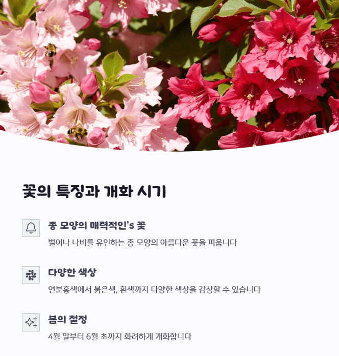 병꽃나무 꽃