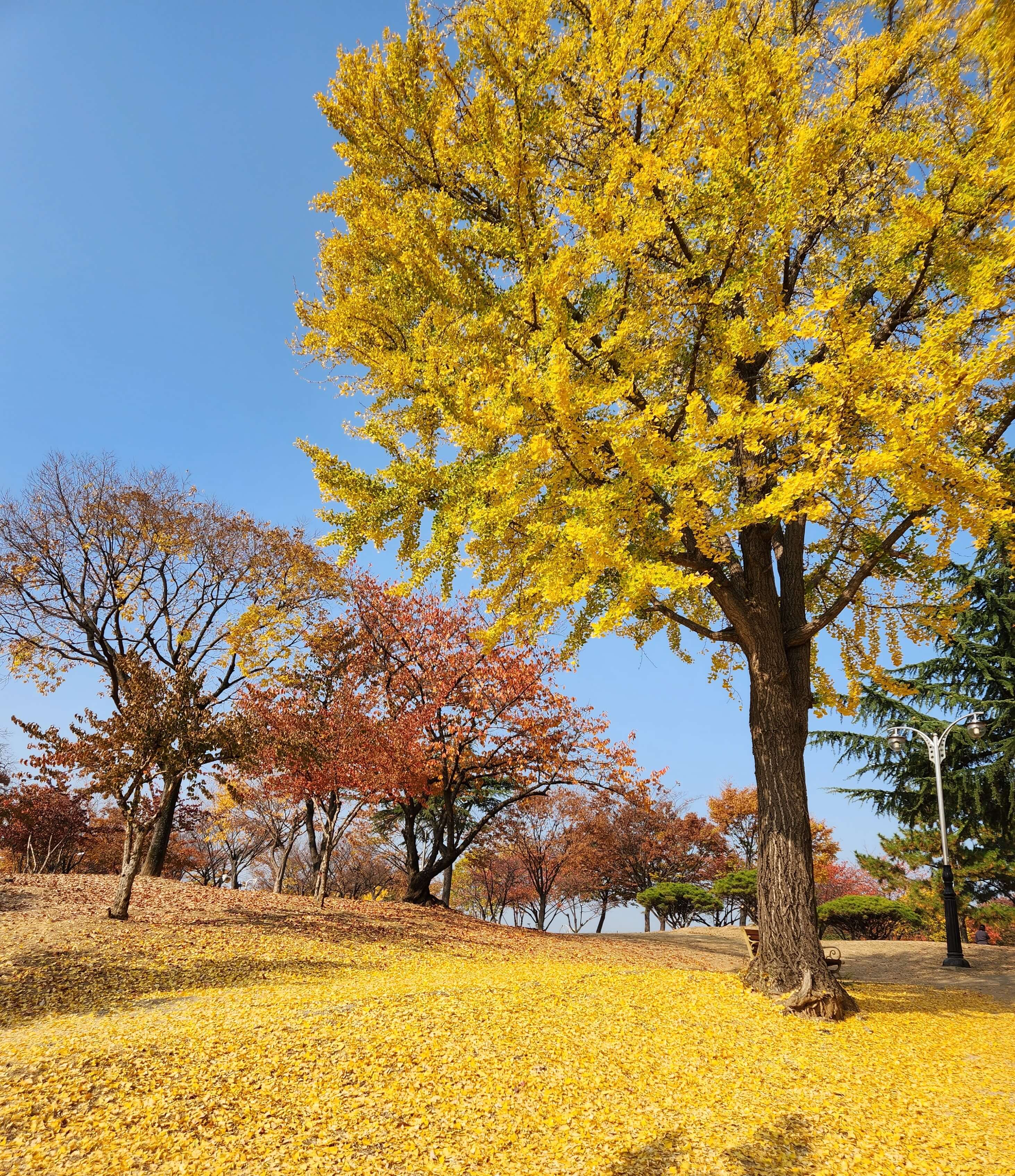 팔공산국립공원