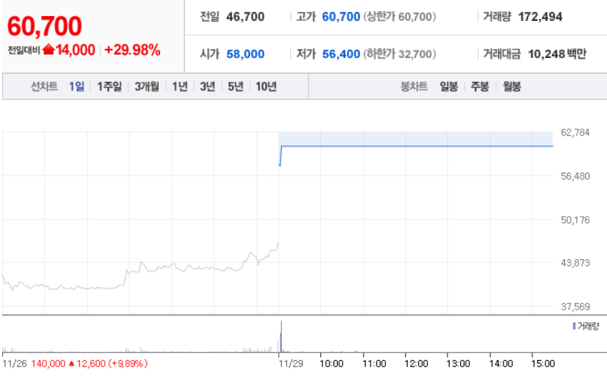  11월  29일 장 중 특징주