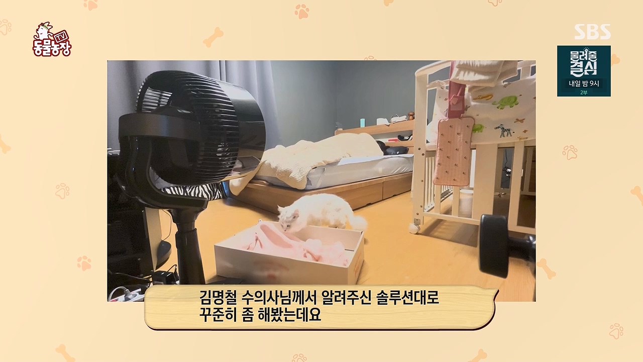 TV 동물농장 1189화 다시보기.ts_20240922_161944.700.jpg