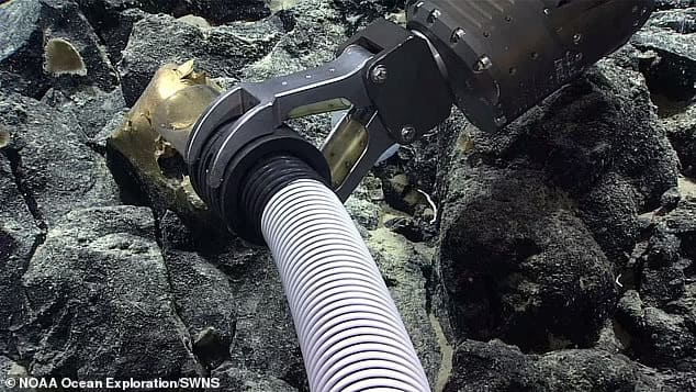 심해에서 발견된 괴물체 &#39;황금 알&#39;...미스터리 심해 생물 것? VIDEO: Scientists puzzled by gold orb found on the Alaskan seabed