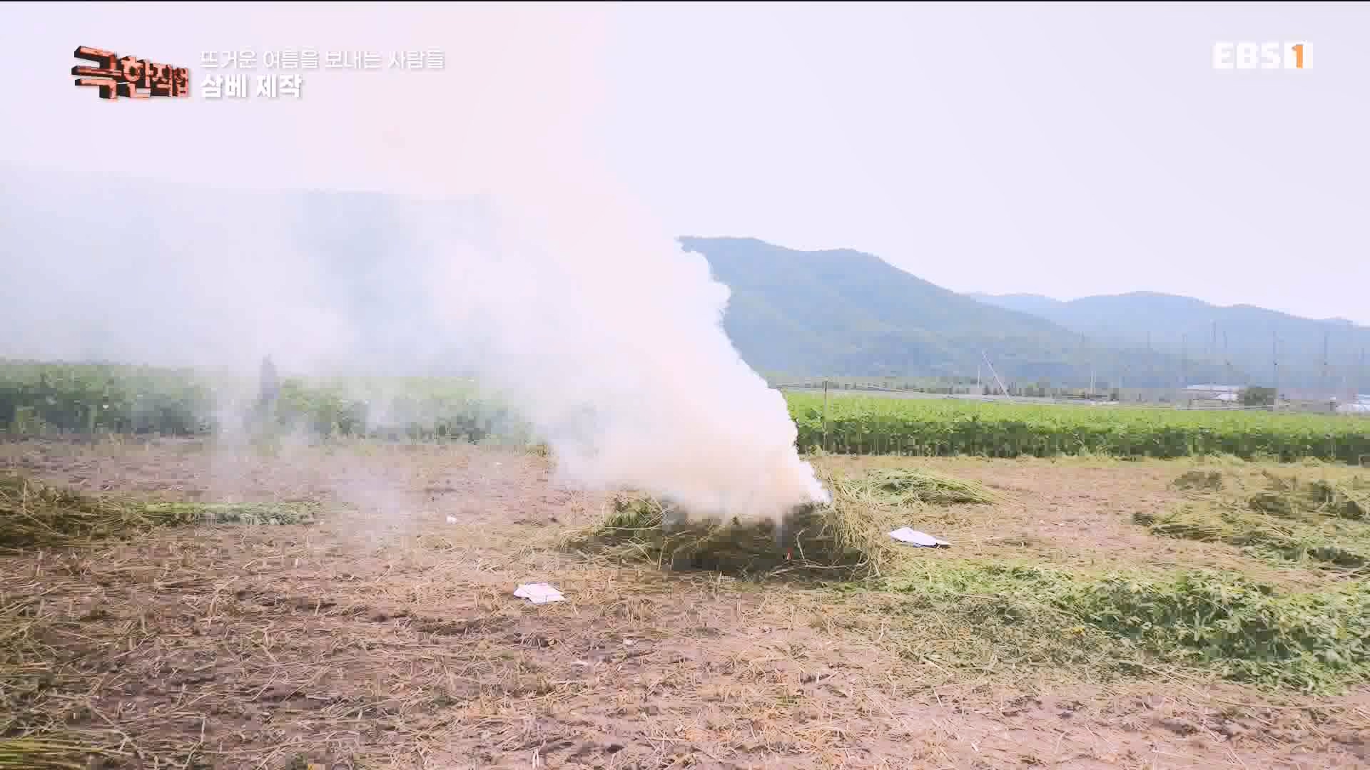 [극한 직업] 삼베 제작과 농어잡이 230812p.mp4_20230814_204004.112.jpg