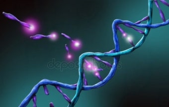 인간의 DNA는 약 50% 정도가 바나나의 DNA와 유사