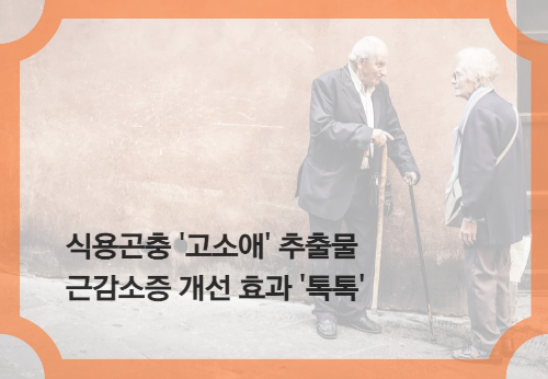 알트태그-노인이 지팡이 짚고 서서 이야기를 하고 있습니다.