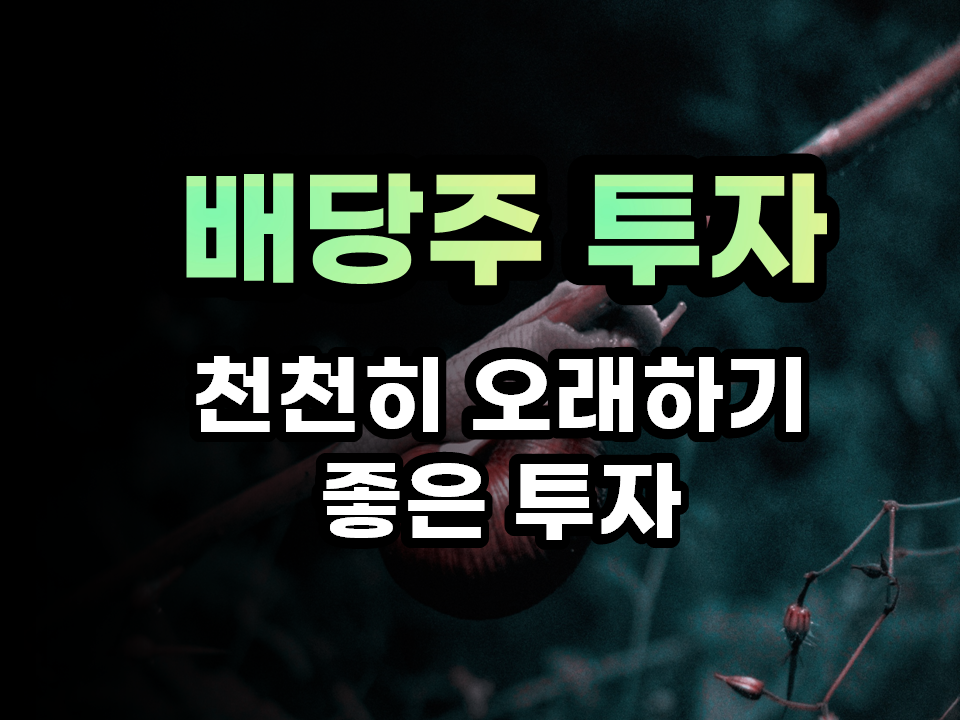 배당주 투자