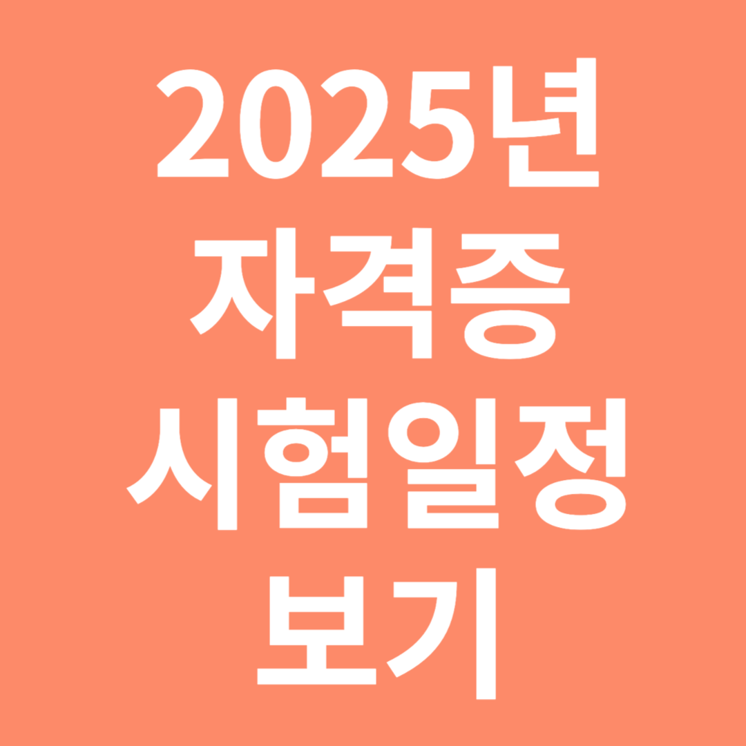 2025년 자격증 시험일정 보기