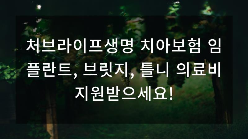 처브라이프매월받는 암생활비 6