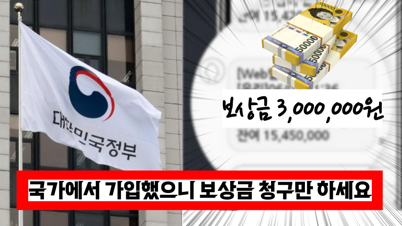  '보험금 청구만 하세요' 나라에서 자동 가입한 무료 보험 총정리