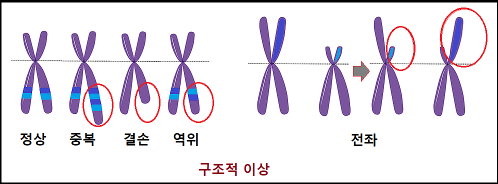 DNA, 유전자 검사 진단, 유전병 진단.