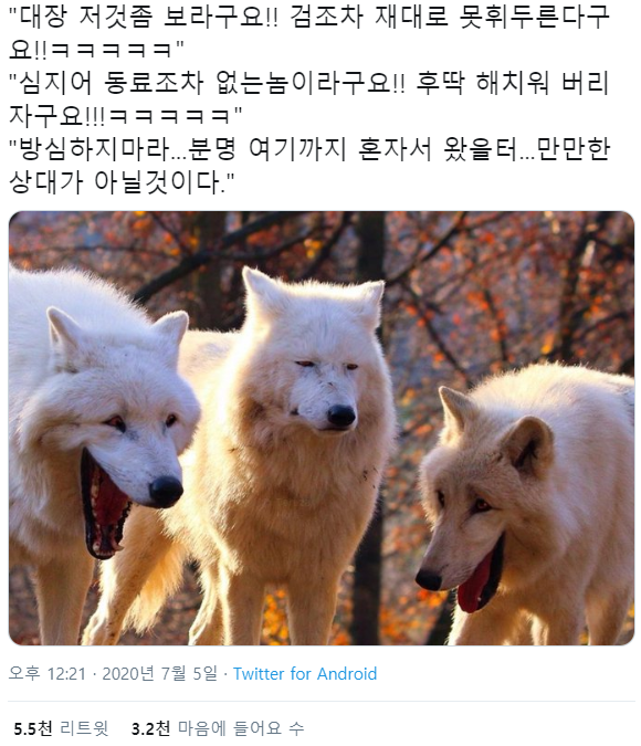  악당 늑대 세마리를 만남.twt