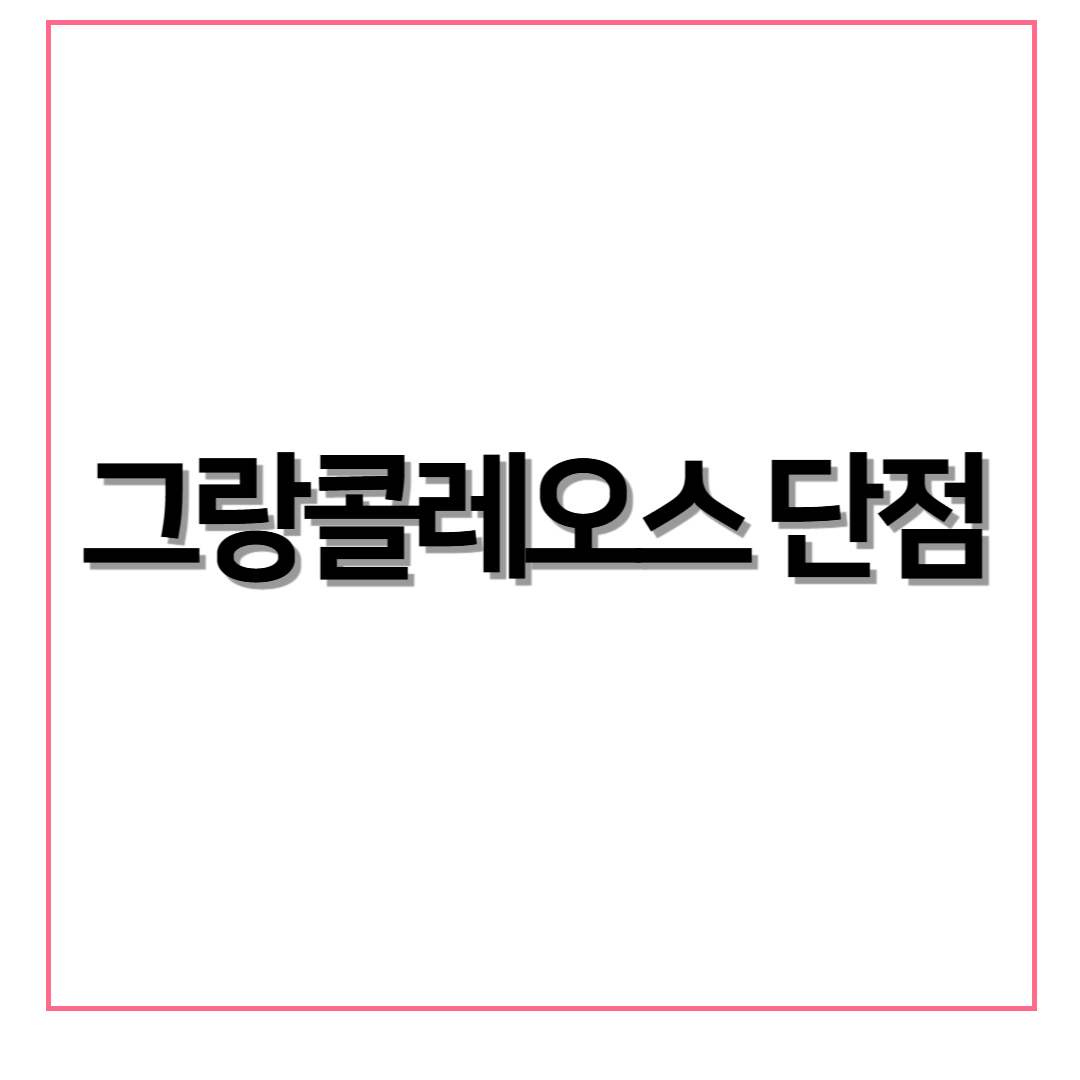 그랑콜레오스 단점 요약 정리