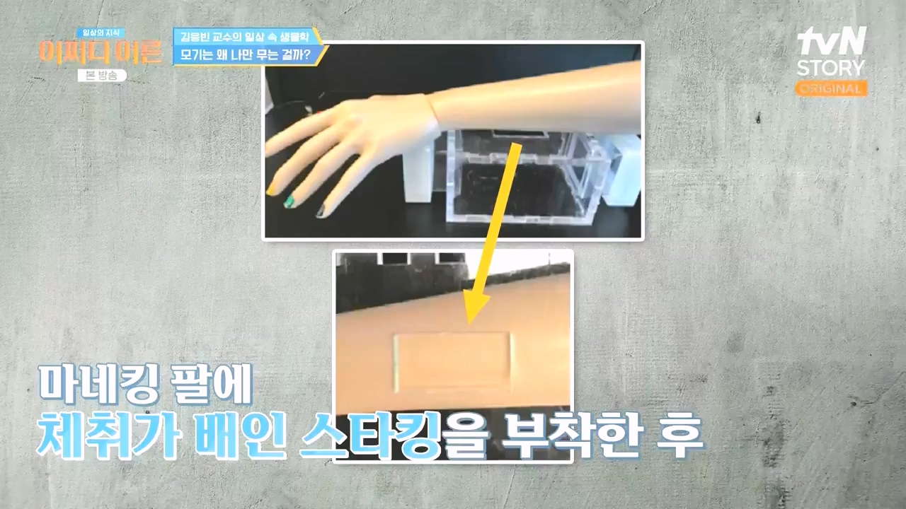 어쩌다 어른.E51.240410p-NEXT.mp4_20240410_180516.672.jpg