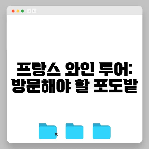 프랑스 와인 투어: 방문해야 할 포도밭